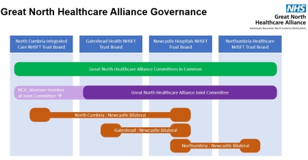 A graphic showing the governance structure.